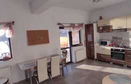 Casa premium, mobilata, 350 mp teren, pe malul lacului Rediu