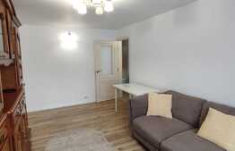 Apartament 2 camere decomandat, zona Pacurari la strada principala 