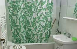 Apartament 2 camere, 45 mp, zona linistita, Alexandru cel Bun