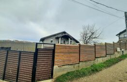 Casa 5 camere, 196 mp, 570 mp teren, Aleea Strugurilor