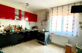 Casa 5 camere, 196 mp, 570 mp teren, Aleea Strugurilor