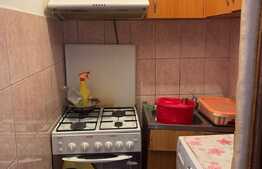 Camera de camin, cu bucatarie si baie, Nicolina 2