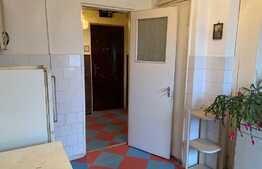 Apartament 3 camere, etaj intermediar, 60 mp utili, bulevard zona Dacia