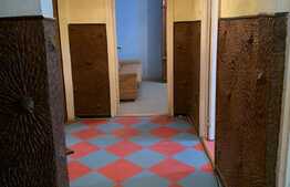 Apartament 3 camere, etaj intermediar, 60 mp utili, bulevard zona Dacia