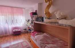 Casa tip Duplex 109 mp utili, zona Popas Pacurari