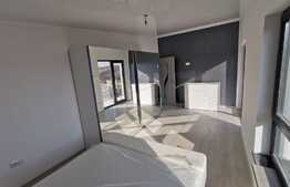 Case de 4 camere cu tavane Barisol, 124 mp, 362 sau 800 mp de teren, Rediu