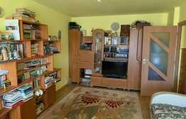 Apartament 3 camere, decomandat, 83 mp, priveliste spre bulevard, zona Pacurari