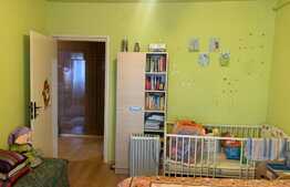 Apartament 3 camere, decomandat, 83 mp, priveliste spre bulevard, zona Pacurari