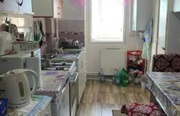 Apartament 3 camere, decomandat, 83 mp, priveliste spre bulevard, zona Pacurari