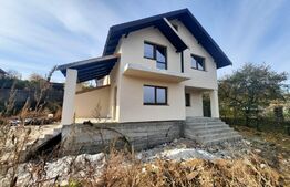 Casa cu beci, 4 camere, 118 mp, 410 mp de teren, Barnova