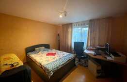 Casa de 6 camere cu beci, 200 mp utili, zona Miroslava