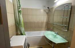 Apartament de 2 camere, renovat, 2 balcoane, parcare, zona Pacurari