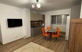 Apartament de 2 camere, renovat, 2 balcoane, parcare, zona Pacurari