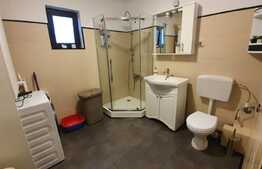 Vila mobilata cu 500 mp teren, zona Horpaz