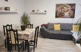 Vila mobilata cu 500 mp teren, zona Horpaz