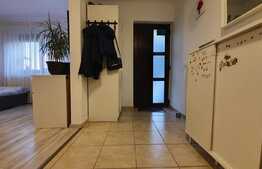 Vila mobilata cu 500 mp teren, zona Horpaz