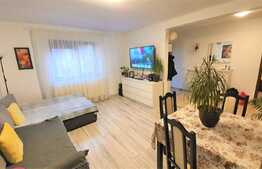 Vila mobilata cu 500 mp teren, zona Horpaz