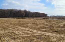 Teren extravilan 1790 mp, 210mp cota indiviza, Centura Iasi -Padurea Miroslava