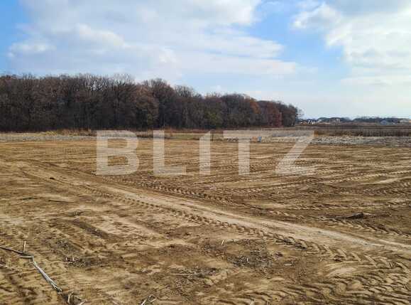 Teren de vânzare Miroslava - 79894TV | BLITZ Iași | Poza3