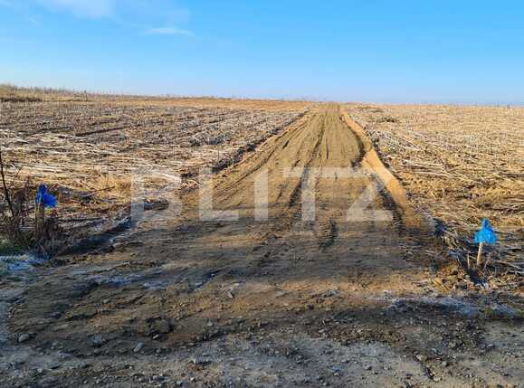 Teren de vânzare Miroslava - 79894TV | BLITZ Iași | Poza2