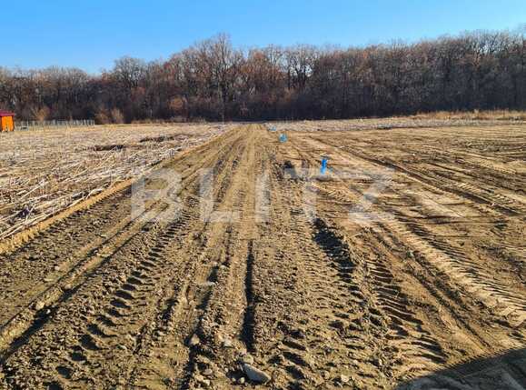 Teren de vânzare Miroslava - 79894TV | BLITZ Iași | Poza1