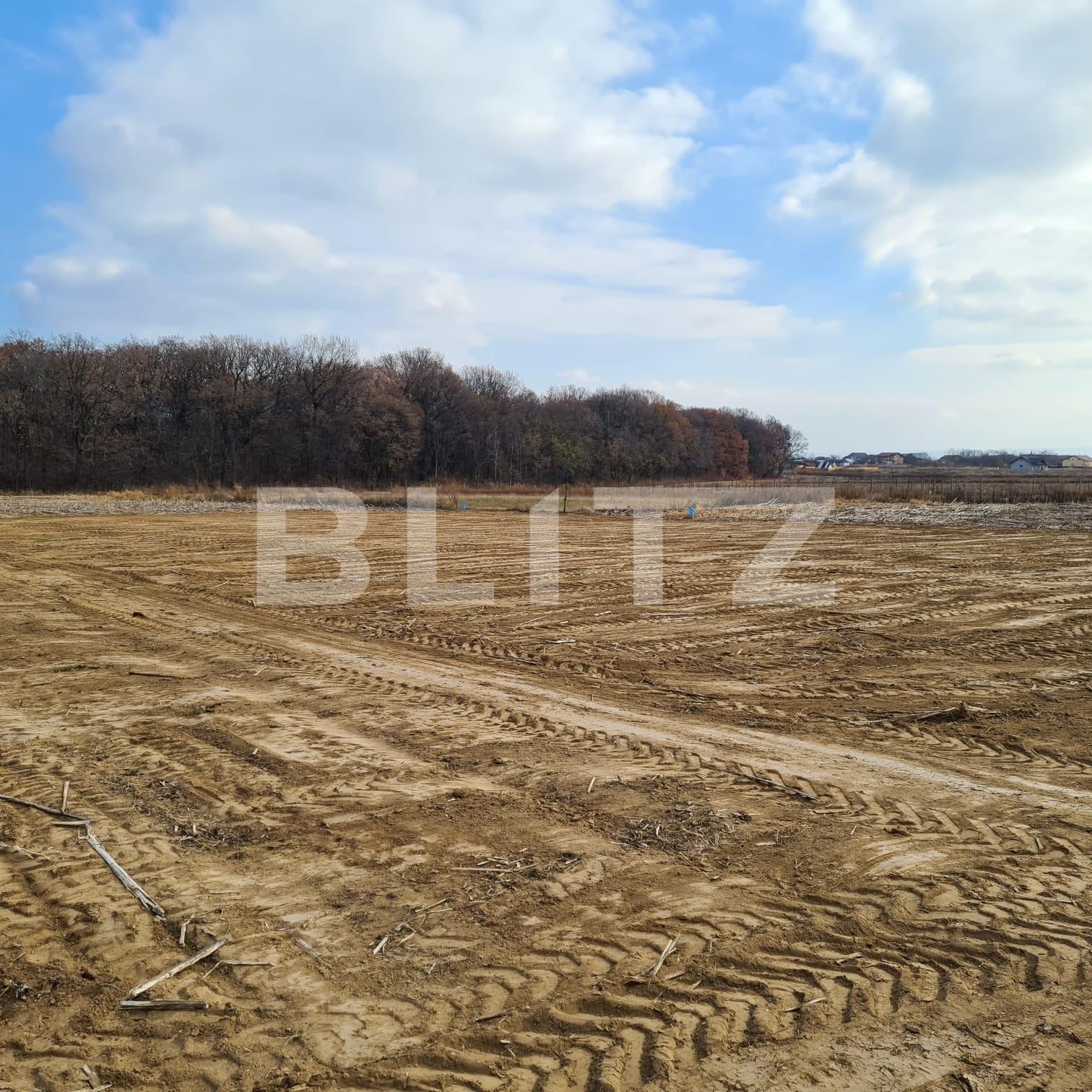 Teren de vânzare Miroslava - 79894TV | BLITZ Iași | Poza3