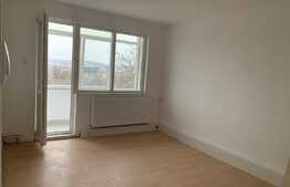 Apartament 3 camere, decomandat, luminos, zona Tatarasi