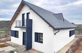 Casa cu beci, 440 mp teren, Valea Adanca