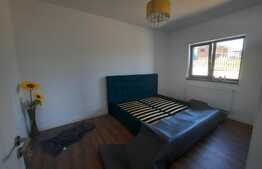 Casa cu beci, 440 mp teren, Valea Adanca