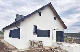 Casa cu beci, 440 mp teren, Valea Adanca