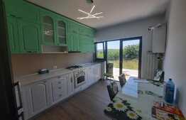 Casa cu beci, 440 mp teren, Valea Adanca