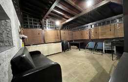 Vila de 6 camere cu vedere spre lac, 274 mp utili, Hlincea