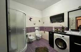 Vila de 6 camere cu vedere spre lac, 274 mp utili, Hlincea