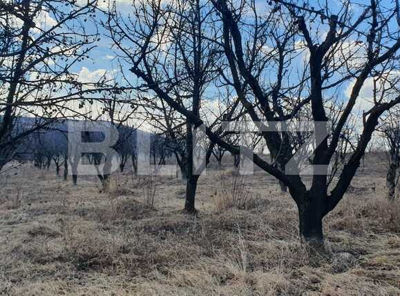 Teren de vânzare Sud-Est - 80237TV | BLITZ Iași | Poza1