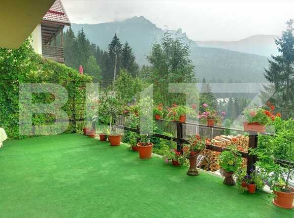 Spațiu comercial de vânzare Exterior Vest - 80330SVC | BLITZ Iași | Poza2