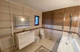 Casa individuala, 100 mp utili, 500 mp teren, Valea Lupului 