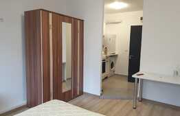 Garsoniera recent renovata in zona Alexandru - Zimbru