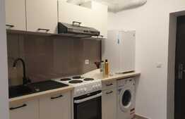 Garsoniera recent renovata in zona Alexandru - Zimbru