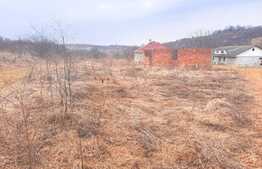 Teren de 1300 mp ideal pentru casa de vacanta, zona Bucium