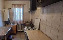 Apartament de 3 camere, 53 mp, zona Mircea