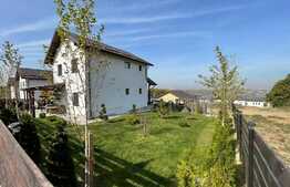 Casa individuala cu rate la dezvoltator, 450 mp teren, zona Pietrarie