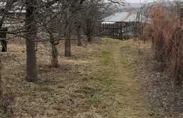 Casa batraneasca de 85 mp utili cu teren de 6700 mp in Ipatele