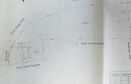 Casa batraneasca de 85 mp utili cu teren de 6700 mp in Ipatele