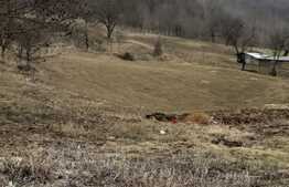 Casa batraneasca de 85 mp utili cu teren de 6700 mp in Ipatele