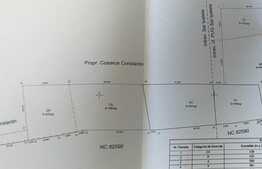 Casa batraneasca de 85 mp utili cu teren de 6700 mp in Ipatele