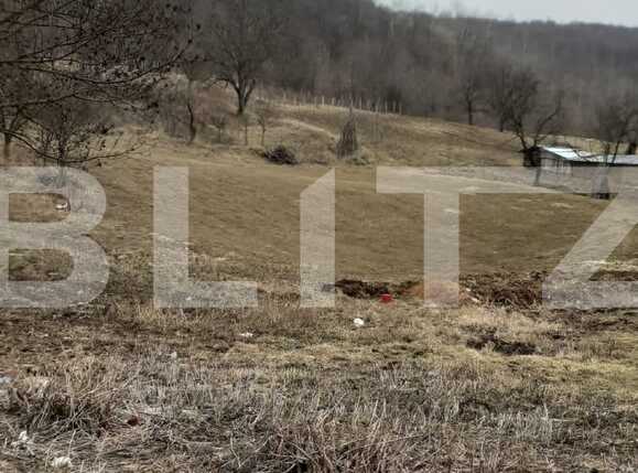 Casa de vânzare 2 camere Exterior Sud - 80900CV | BLITZ Iași | Poza2