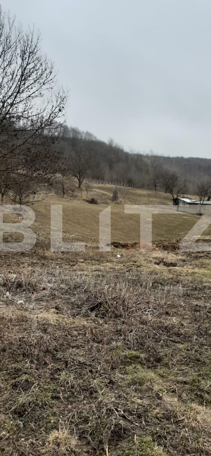 Casa de vânzare 2 camere Exterior Sud - 80900CV | BLITZ Iași | Poza2