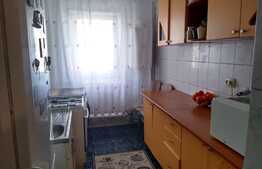Apartament de vanzare cu 2 camere, 45 mp, zona Tatarasi