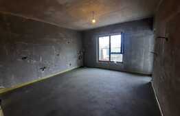 Vila cu 5 camere de 165 mp utili, teren 600 mp, Valea Lupului