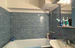 Apartament 2 camere, 50 mp, terasa 20 mp, zona Lidl Bucium